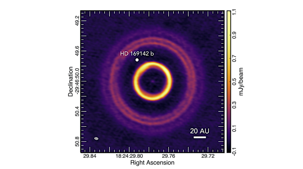 Volatile Composition Of The HD 169142 Disk And Its Embedded Planet