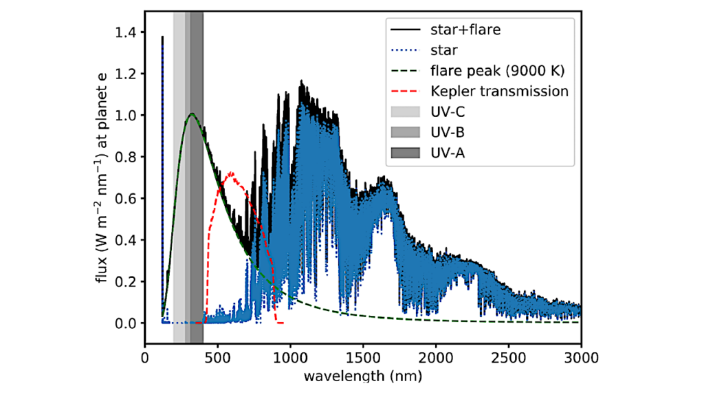 An Experimental Study Of The Biological Impact Of A Superflare On The TRAPPIST-1 Planets