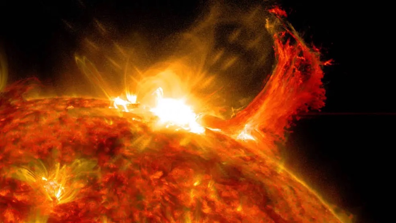 Ancient Wood Hold Clues About Massive Solar Storms