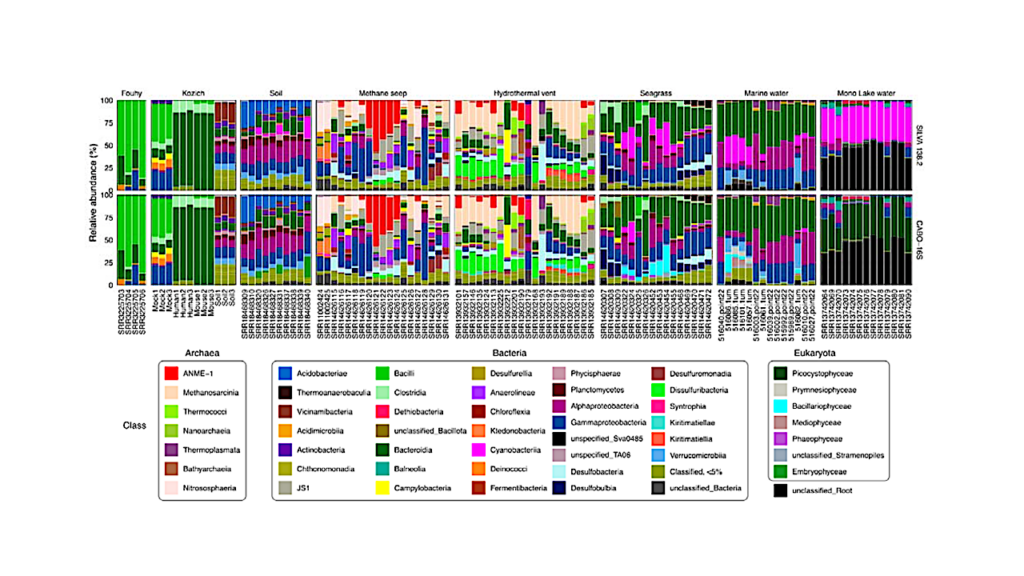 CABO-16S: A Combined Archaea, Bacteria, Organelle 16S Database for Amplicon Analysis of Prokaryotes and Eukaryotes in Environmental Samples