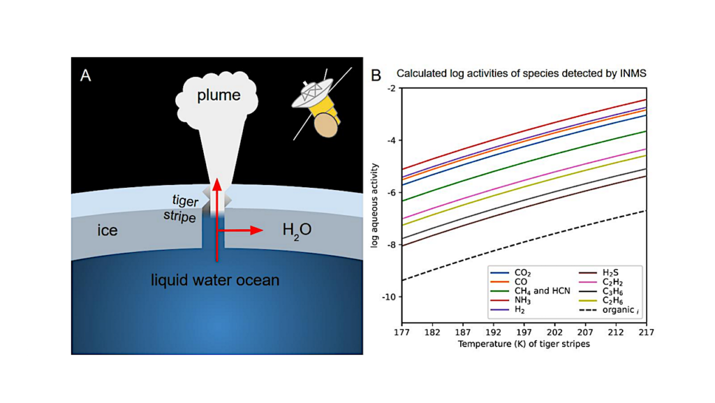 Distinguishing Potential Organic Biosignatures on Ocean Worlds from Abiotic Geochemical Products using Thermodynamic Calculations