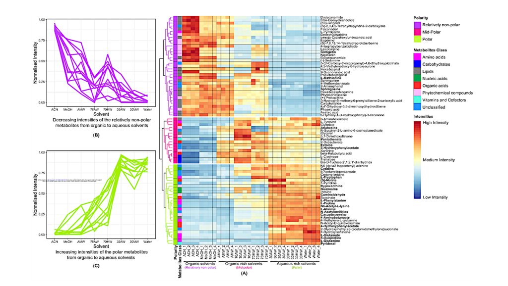 Evaluation of Extraction Solvents for Untargeted Metabolomics to decipher the Dissolved Organic Matter of Antarctic Cryoconite Holes