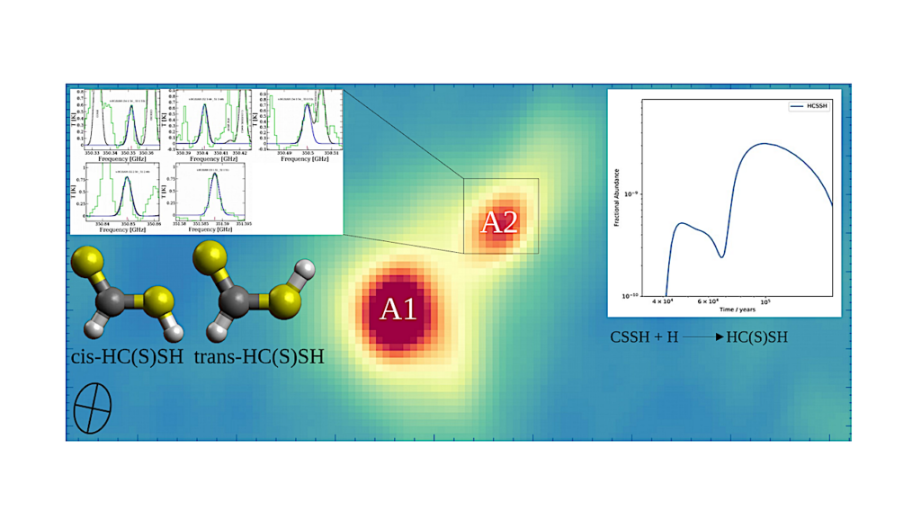 First Identification and Chemical Modeling of New Thiol (−SH) Bearing Molecule in the Interstellar Medium: Dithioformic Acid