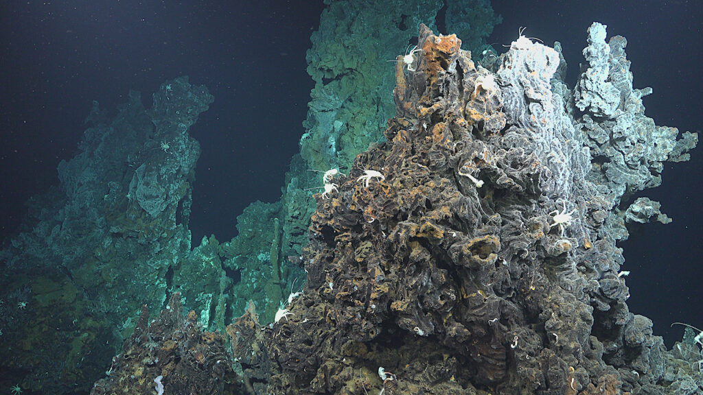 High Functional Vulnerability Across Earth’s Deep-sea Hydrothermal Vent Communities