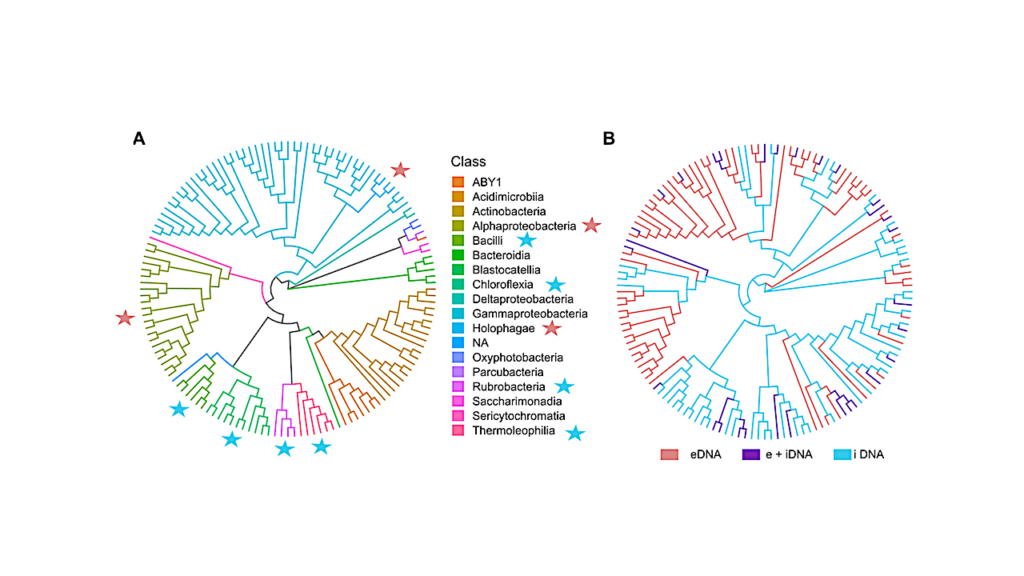 Living Microbes Discovered In Earth’s Driest Desert