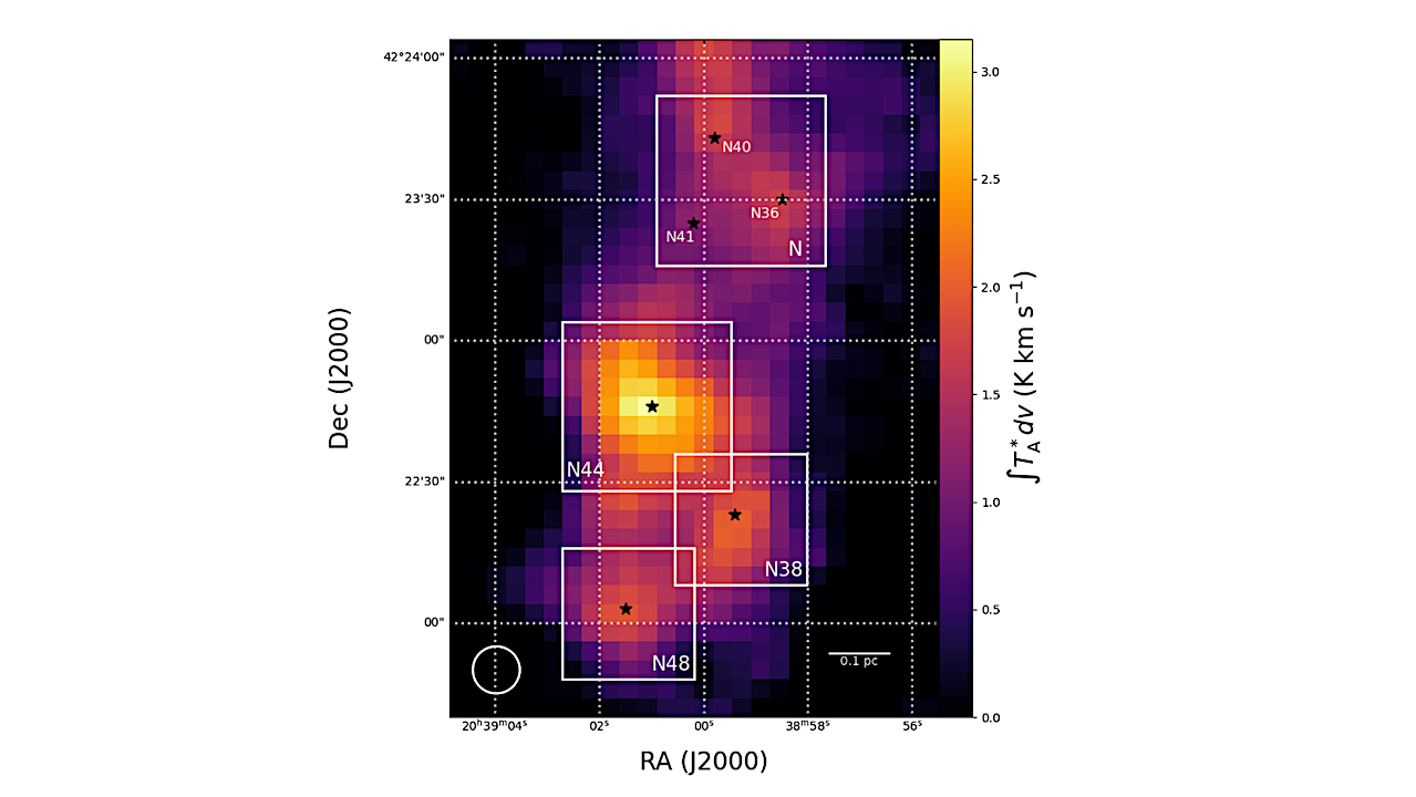 Modelling Carbon Chain and Complex Organic Molecules in the DR21(OH) Clump