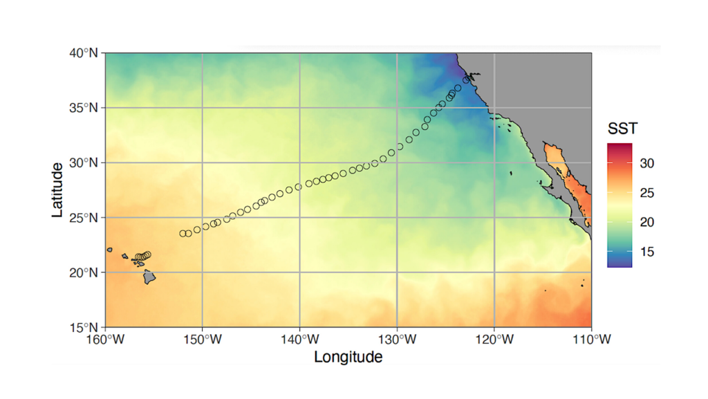 Ocean Planet Exploration Droids: Autonomous eDNA Collection Using An Uncrewed Surface Vessel