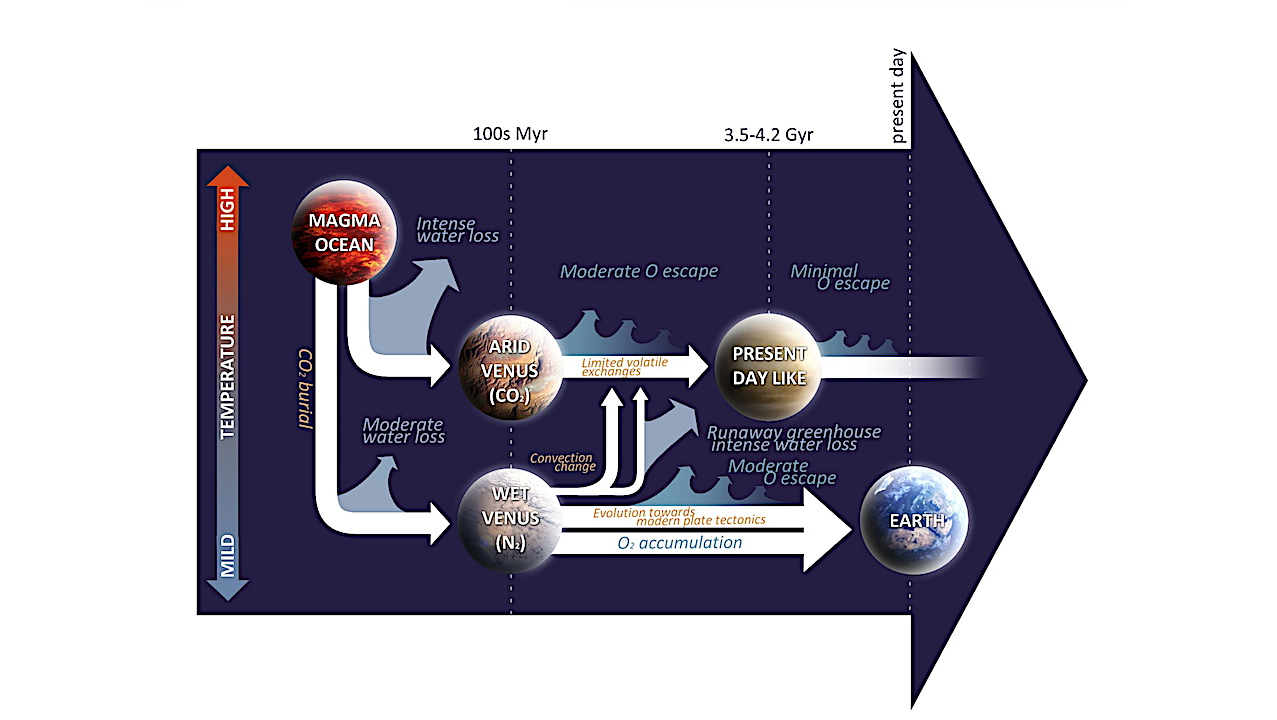 Our Solar System Neighborhood: Three Diverging Tales of Planetary Habitability and Windows to Earth’s Past and Future