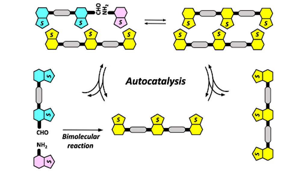 Self‐Replication Without Hydrogen‐Bonds: An Exobiotic Design