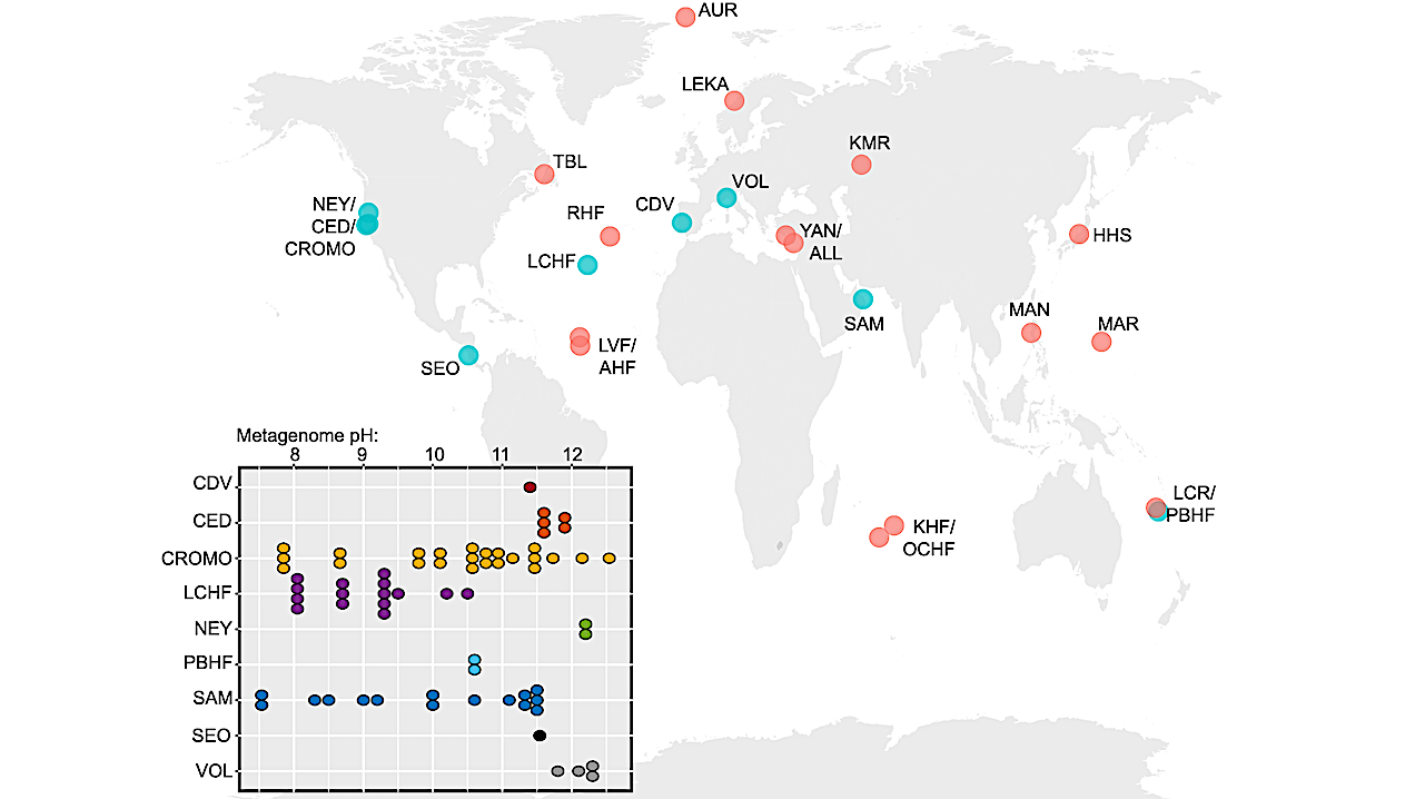 The Microbial Ecology of Serpentinites