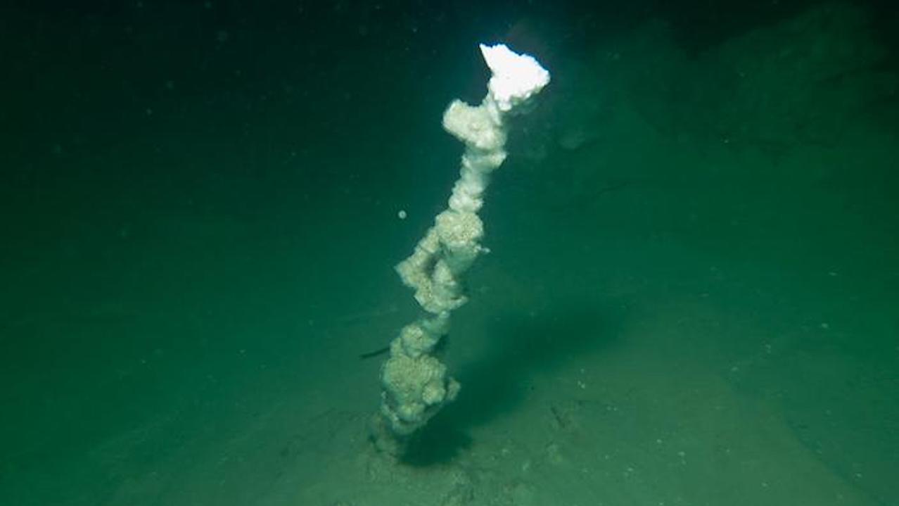 White Smokers On The Floor Of The Dead Sea