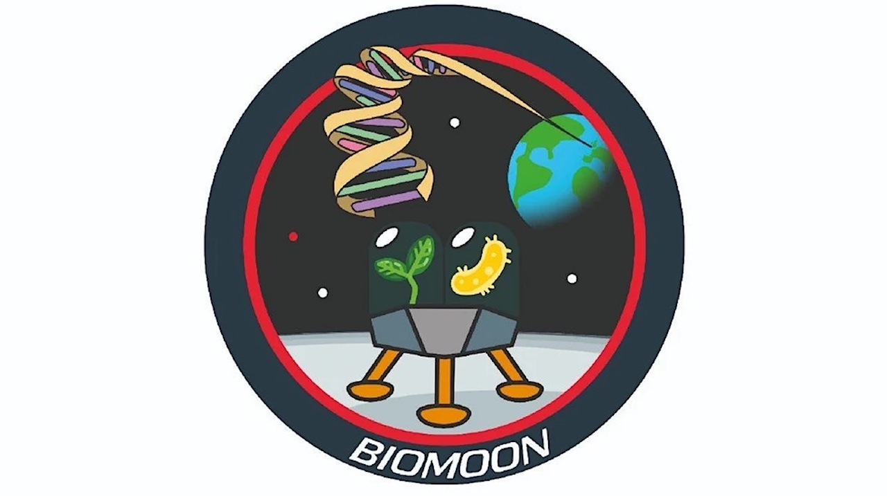 BioMoon: A Concept For A Mission To Advance Space Life Sciences And Astrobiology On The Moon