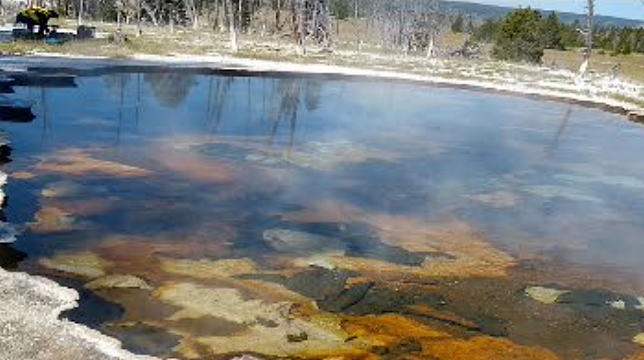 Comparing Microbial Populations From Diverse Hydrothermal Features In Yellowstone National Park