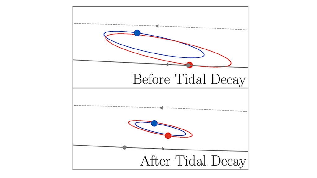 Concealing Circumbinary Planets With Tidal Shrinkage