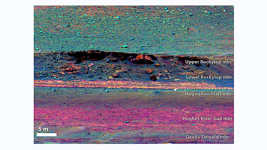 Diagenetic History and Biosignature Preservation Potential of Fine-Grained Rocks at Hogwallow Flats, Jezero Crater, Mars