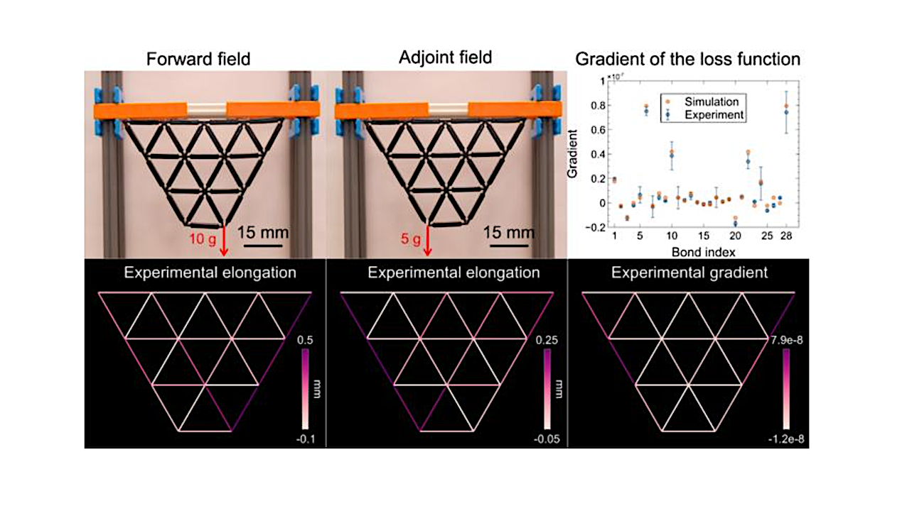 Non-Living Intelligence: Cracking The Code For Materials That Can Learn