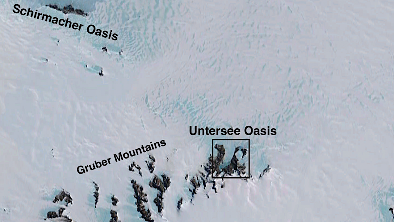 Dale Andersen’s Astrobiology Antarctic Research: Permafrost And Ground-ice Conditions in the Untersee Oasis, Queen Maud Land, East Antarctica (Paper)