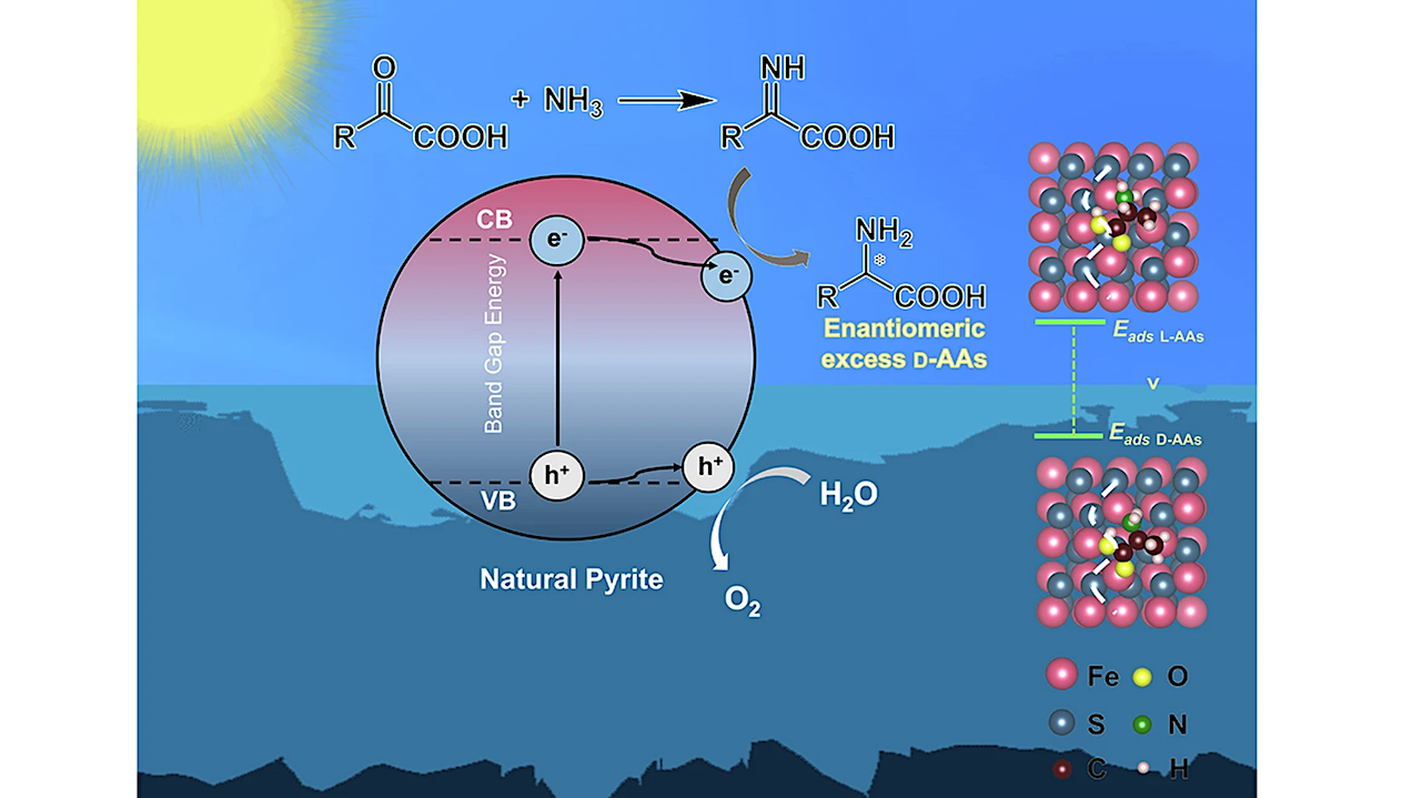 Prebiotic Formation Of Enantiomeric Excess D-amino Acids On Natural Pyrite