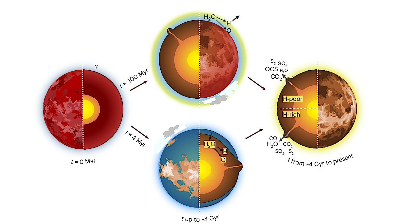 Research Suggests That Venus Never Had Liquid Water On Its Surface