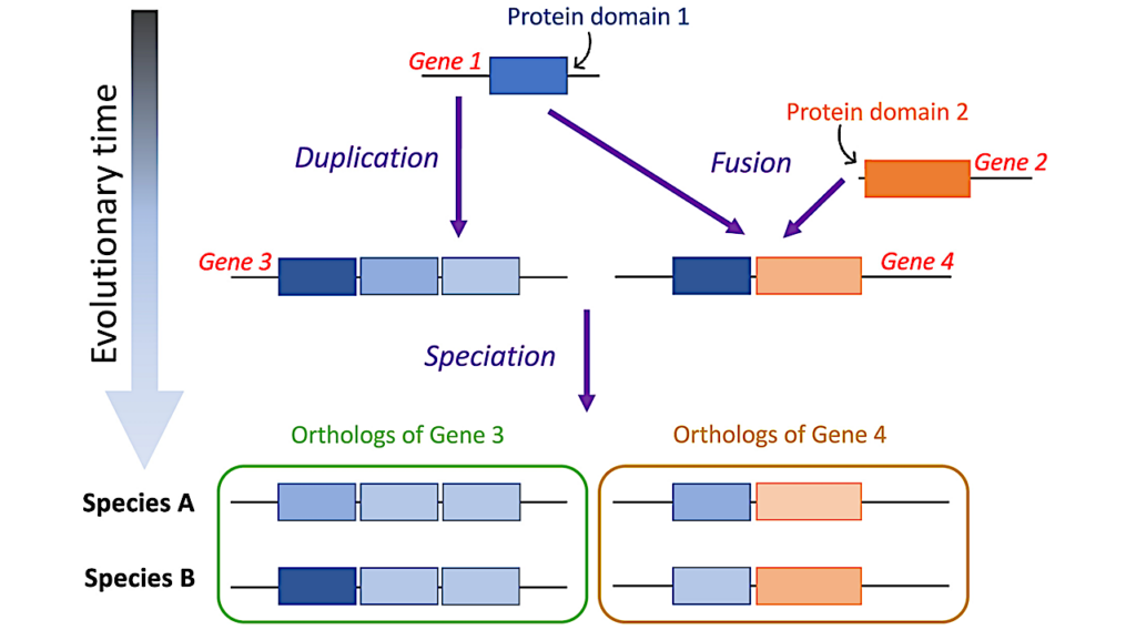 Study Sheds Light On The Origin Of The Genetic Code