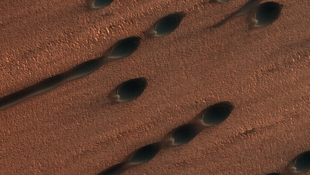 The Barchan Dunes on Mars