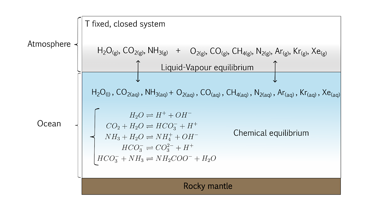 The Role Of Ammonia In The Distribution Of Volatiles In The Primordial Hydrosphere Of Europa