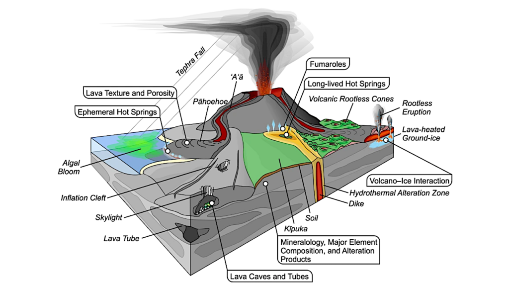 Young Volcanic Terrains Are Windows Into Early Microbial Colonization