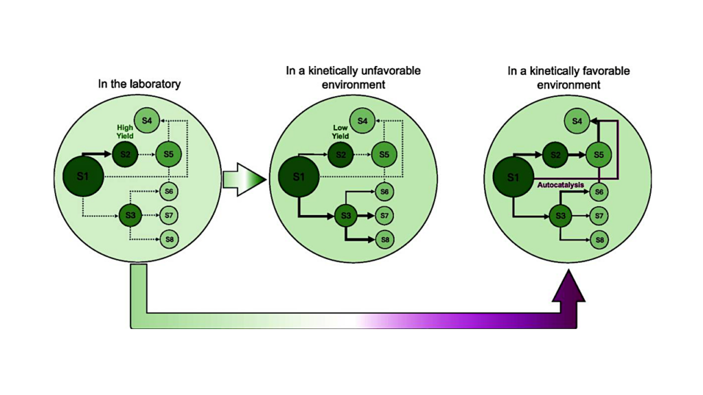 Chemical Kinetics As A Window Into Prebiotic Plausibility