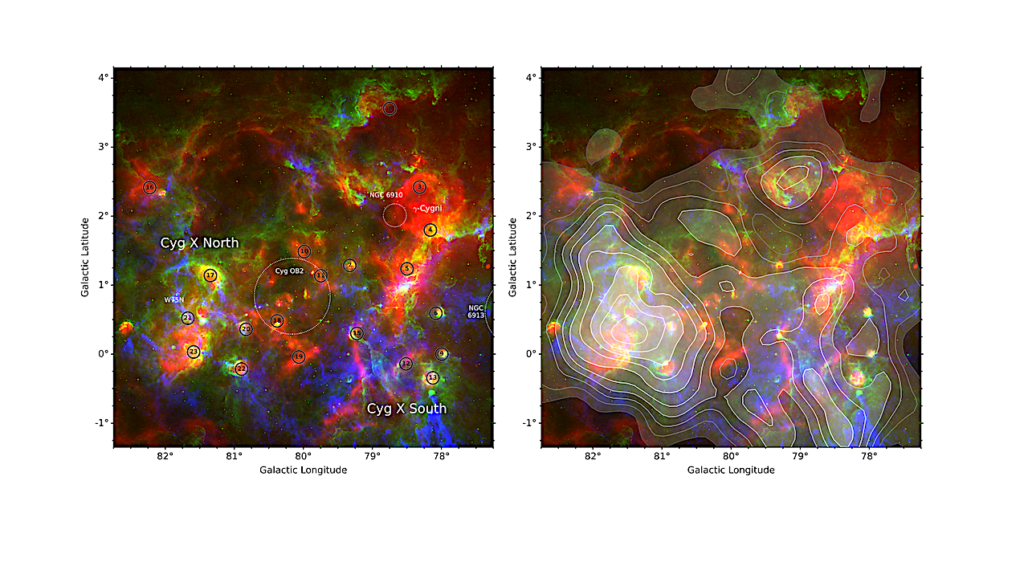 Cold Dark Gas in Cygnus X: The First Large-scale Mapping of Low-frequency Carbon Recombination Lines