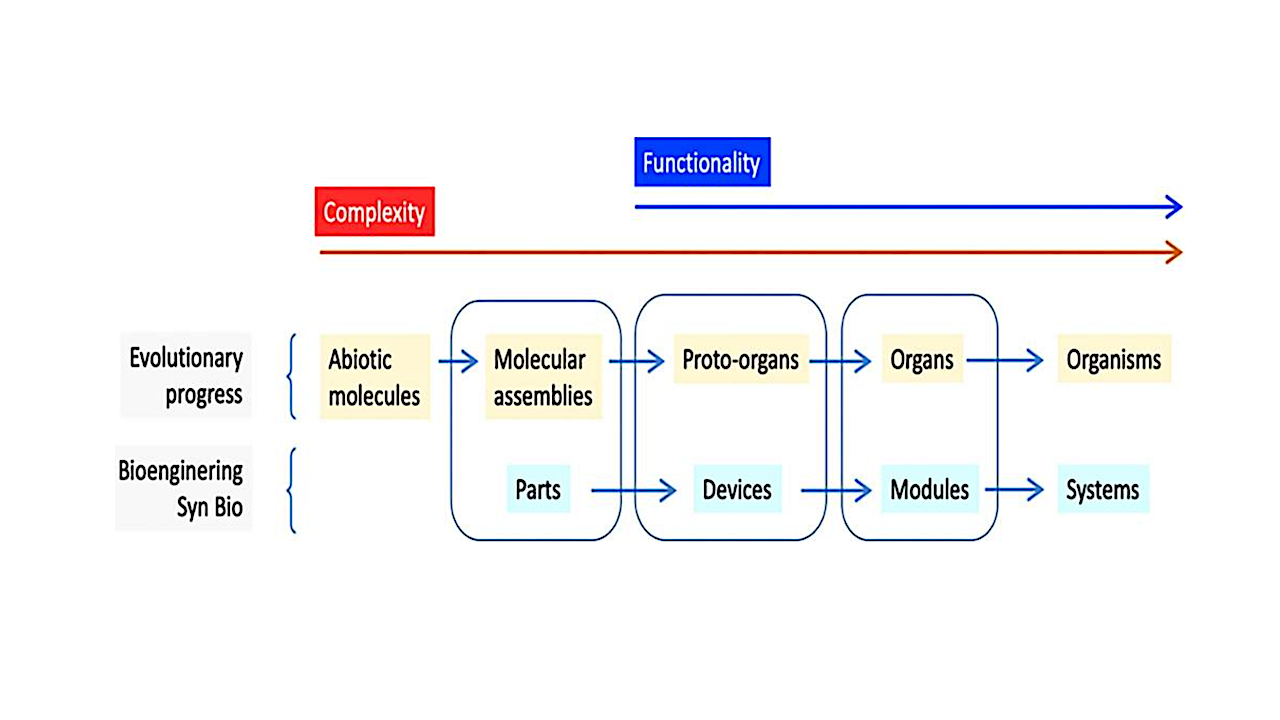 Did Organs Precede Organisms In The Origin Of Life?