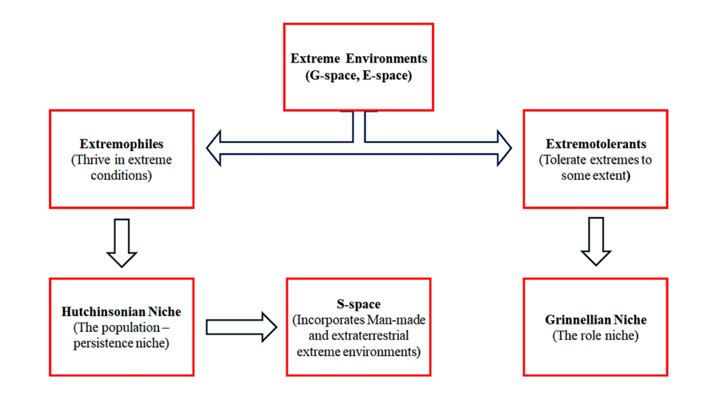 Extremophiles and Extremophilic Behaviour – New Insights and Perspectives