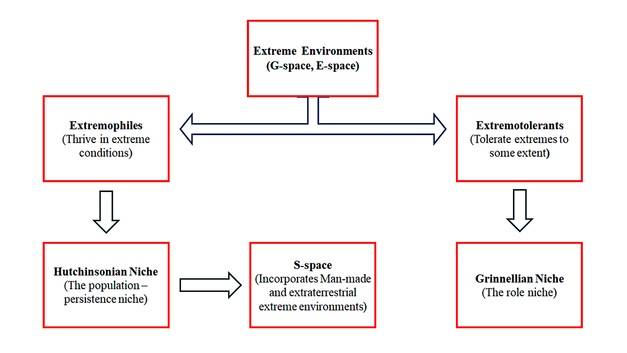 Extremophiles and Extremophilic Behaviour – New Insights and Perspectives