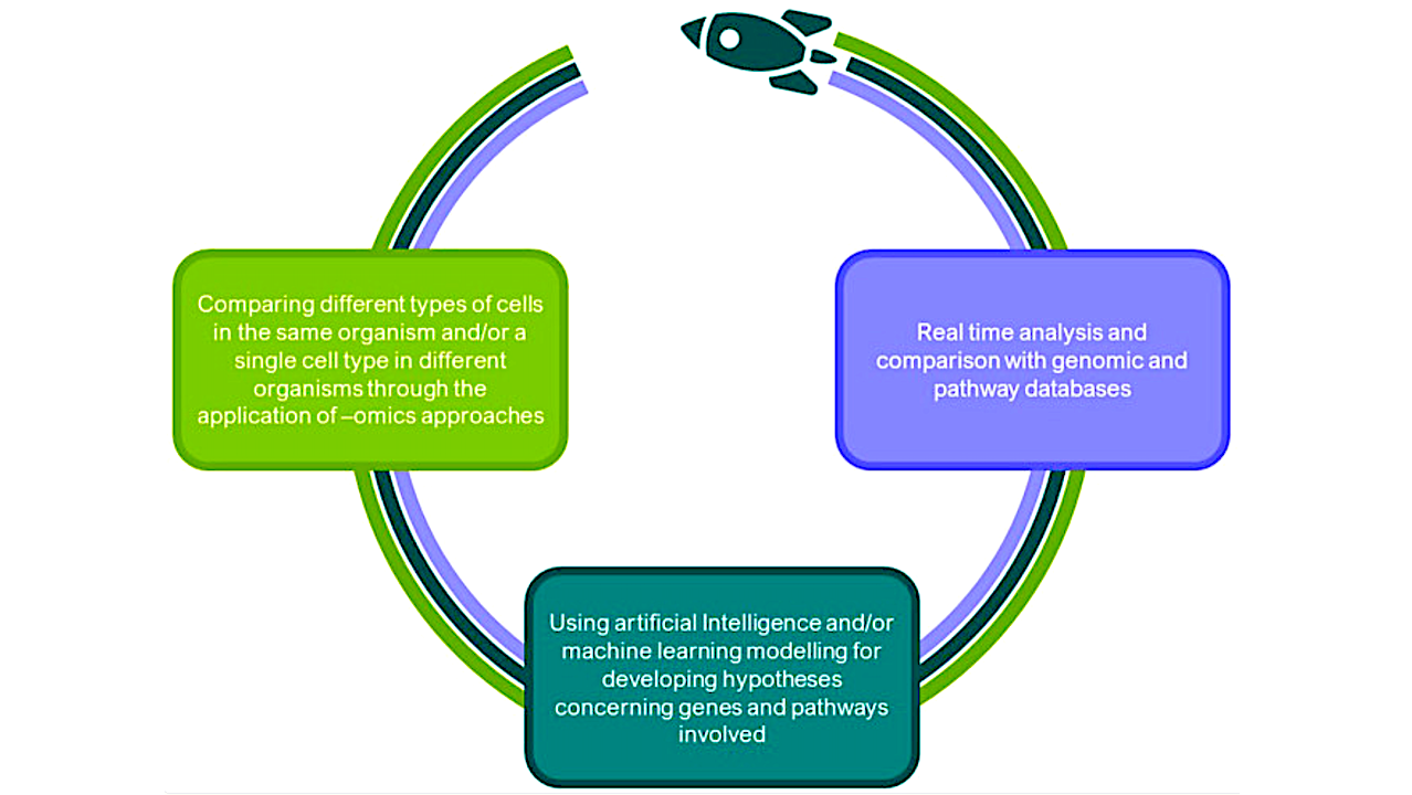 How To Obtain An Integrated Picture of the Molecular Networks Involved in Adaptation to Microgravity in Different Biological Systems?