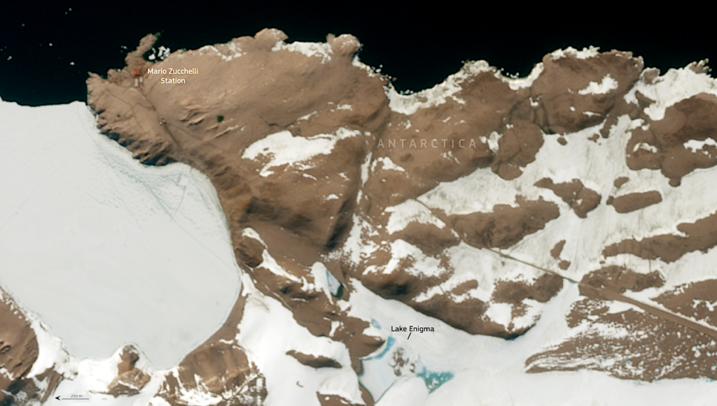 Microbial Diversity Discovered In Lake Enigma, Antarctica