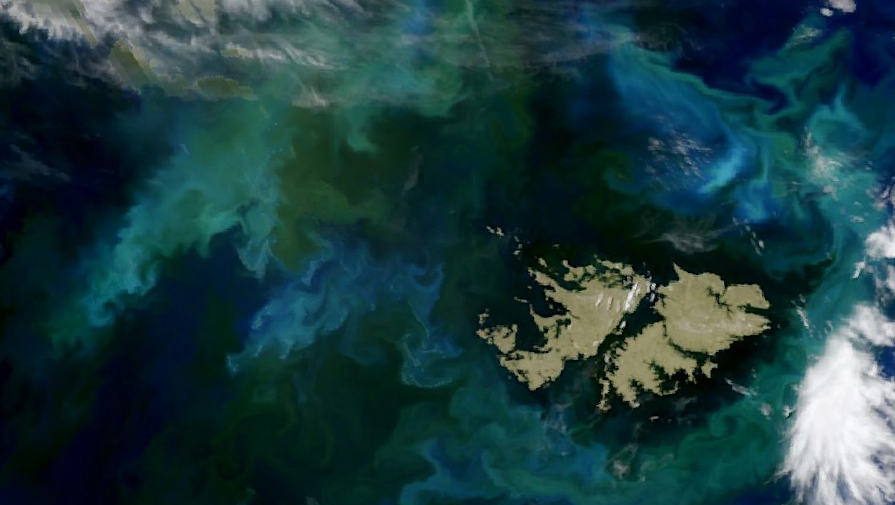 Ocean World Orbital Biosignature Survey: Phytoplankton In Patagonian Waters