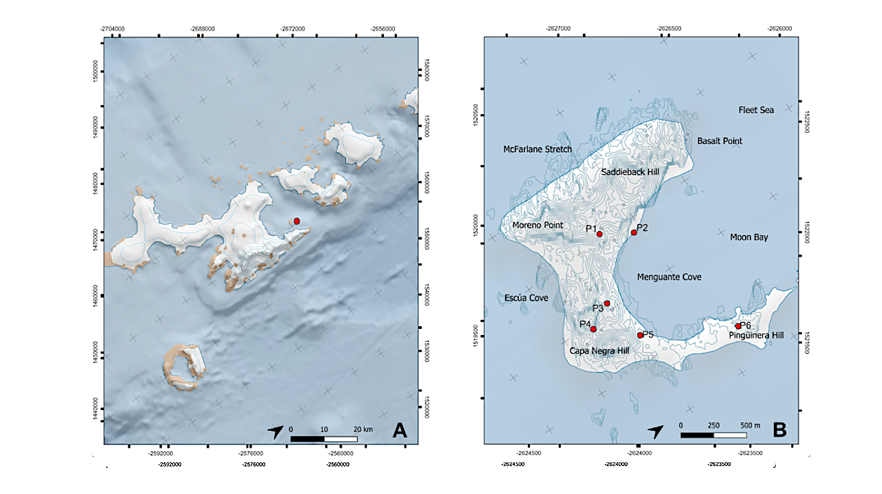 Phosphate Solubilization by Microorganisms in Pyroclastic Material Ffrom Half Moon Island in Antarctica: Perspectives for Astrobiology