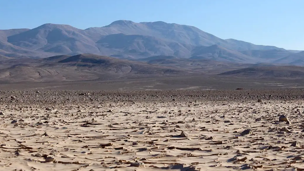 Prospecting the First Chilean Martian Simulants From the Atacama Desert for ISRU and Potential Applications