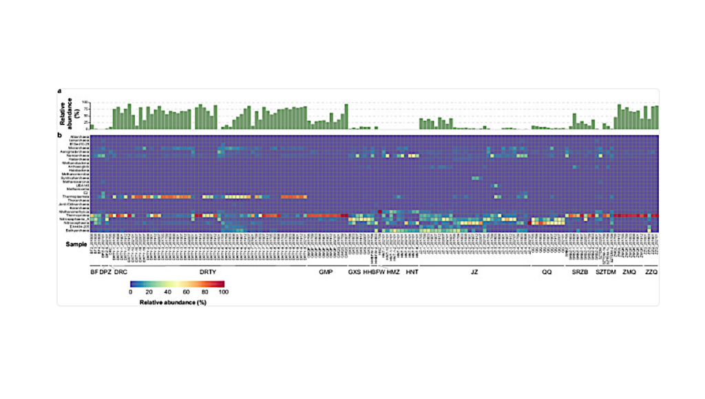 Recovery Of Nearly 3,000 Archaeal Genomes From 152 Terrestrial Geothermal Spring Metagenomes