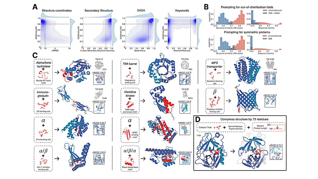 Simulating 500 Million Years Of Evolution With A Language Model