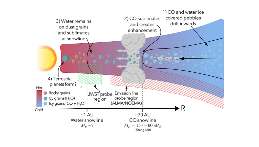 The CO-Fuelled Time Machine: Tracing Birth Conditions and Terrestrial Planet Formation Outcomes in HD 163296 through Pebble Drift-induced CO Enhancements