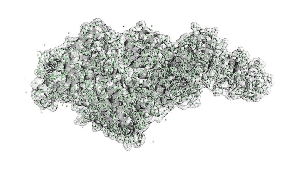 The Extremophile Protein That Revolutionized DNA Sequencing