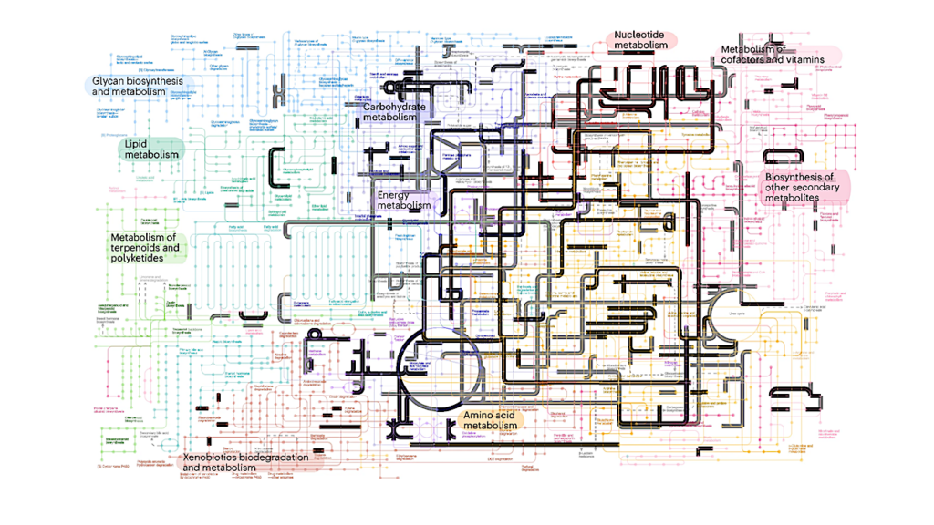 The Nature Of LUCA – The Last Universal Common Ancestor – and its Impact on the Early Earth System