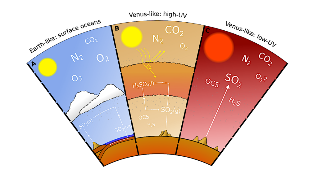 Tracing the Inner Edge of the Habitable Zone with Sulfur Chemistry