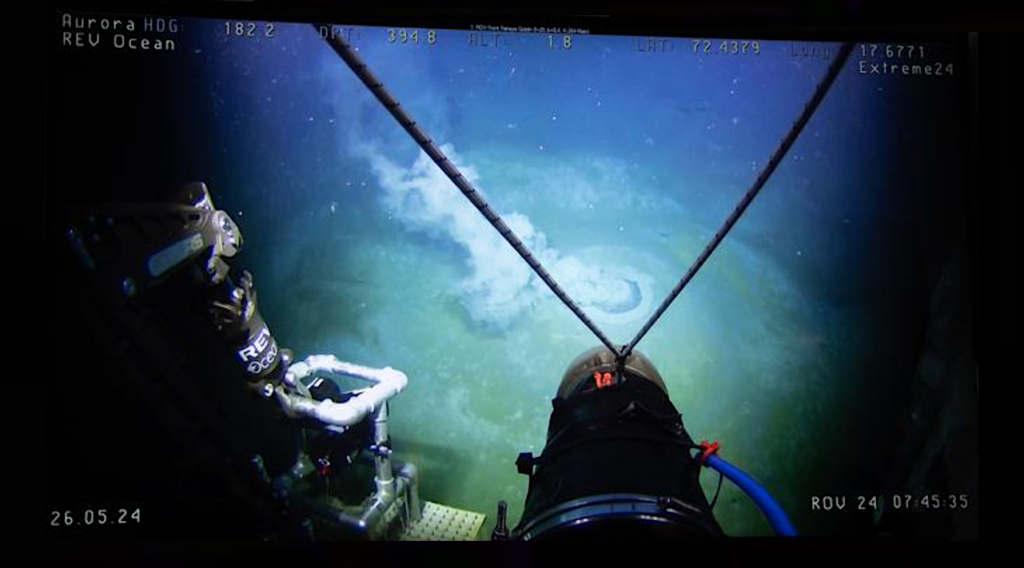 Underwater Mud Volcanos Are A Haven For Marine Organisms