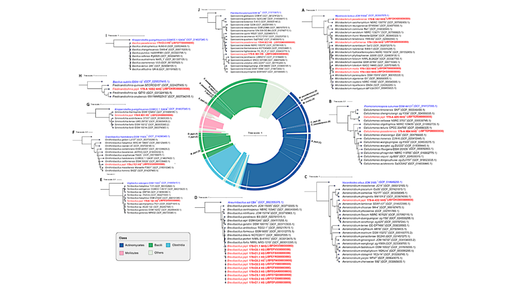 Unveiling Hidden Microbial Diversity in Mars 2020 Mission Assembly Cleanrooms with Molecular Insights into the Persistent and Perseverance of Novel Species Defying Metagenome Sequencing