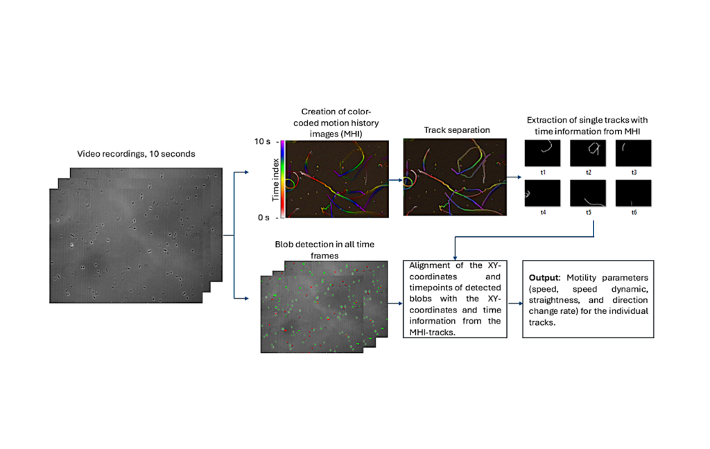 Viability and Motility of Escherichia coli Under Elevated Martian Salt Stresses