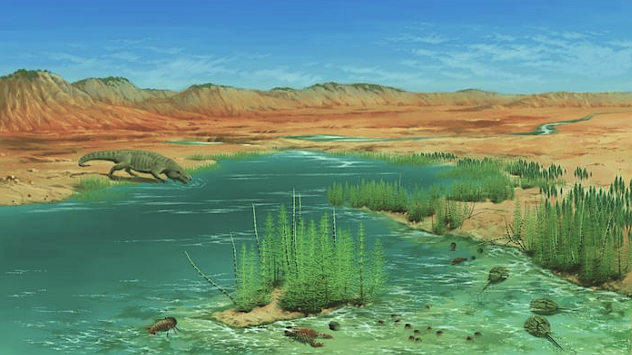 Fossils Reveal Rapid Land Recovery After End-Permian Extinction