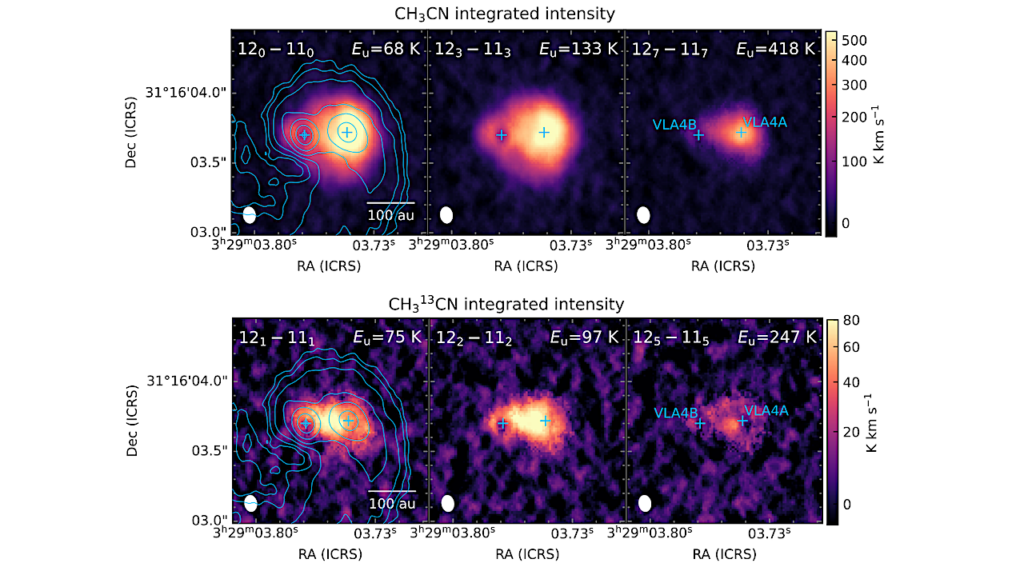 Resolved Gas Temperatures and 12C/13C ratios in SVS13A from ALMA Observations of CH3CN and CH3-13-CN