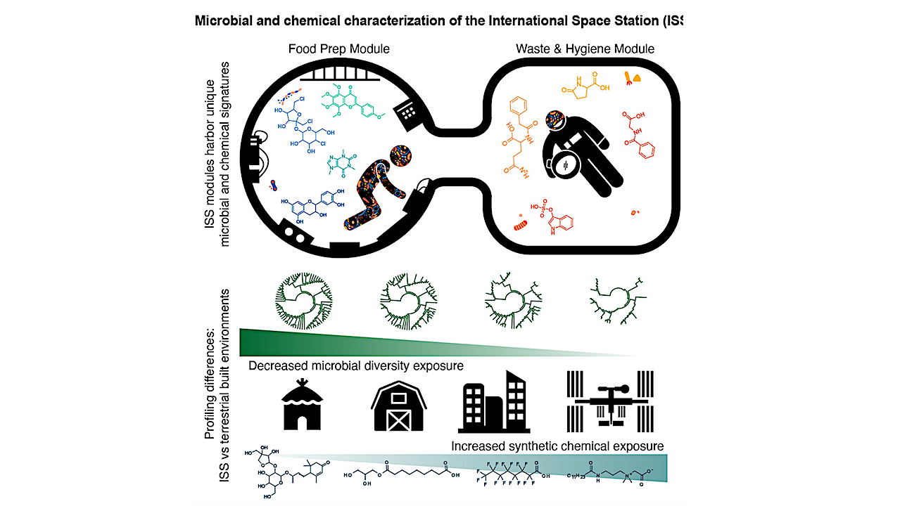 The International Space Station Is Overly Sterile – Making It “Dirtier” Could Improve Astronaut Health