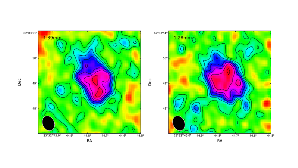 A Molecule-rich Torus-like Structure In The 21 μm Source IRAS 23304+6147